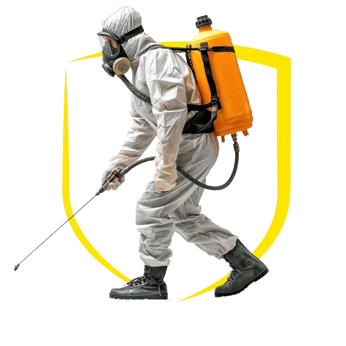 Pest Control Services in Noida
